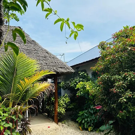 Lighthouse Guesthouse Nungwi Exterior foto